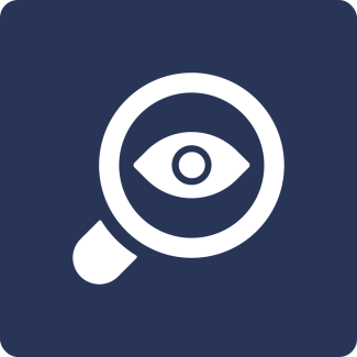 Vision Icon